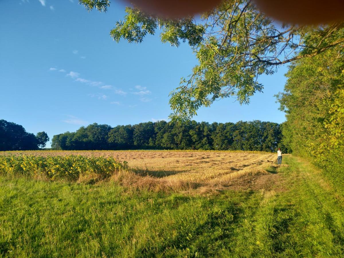 Haus Ringgau - Urlaub, Gemeinschaft Und Erlebnis Im Herzen Von Deutschland Herleshausen Luaran gambar