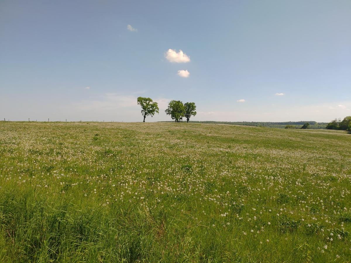 Haus Ringgau - Urlaub, Gemeinschaft Und Erlebnis Im Herzen Von Deutschland Herleshausen Luaran gambar