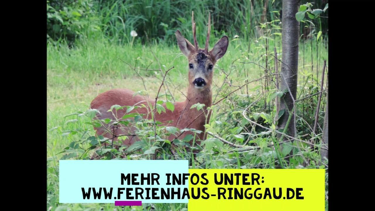 Haus Ringgau - Urlaub, Gemeinschaft Und Erlebnis Im Herzen Von Deutschland Herleshausen Luaran gambar