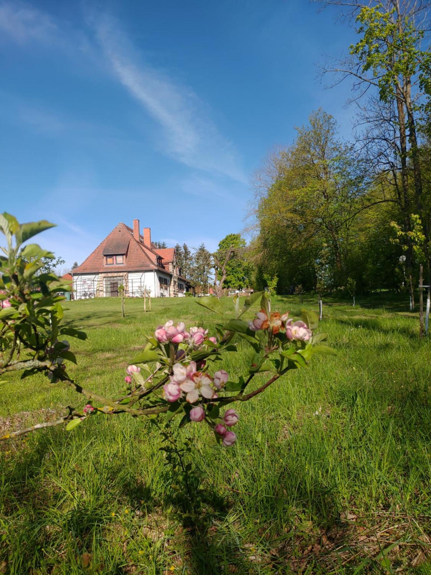 Haus Ringgau - Urlaub, Gemeinschaft Und Erlebnis Im Herzen Von Deutschland Herleshausen Luaran gambar